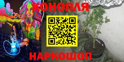 СК Пугачёв