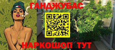 СК Пугачёв