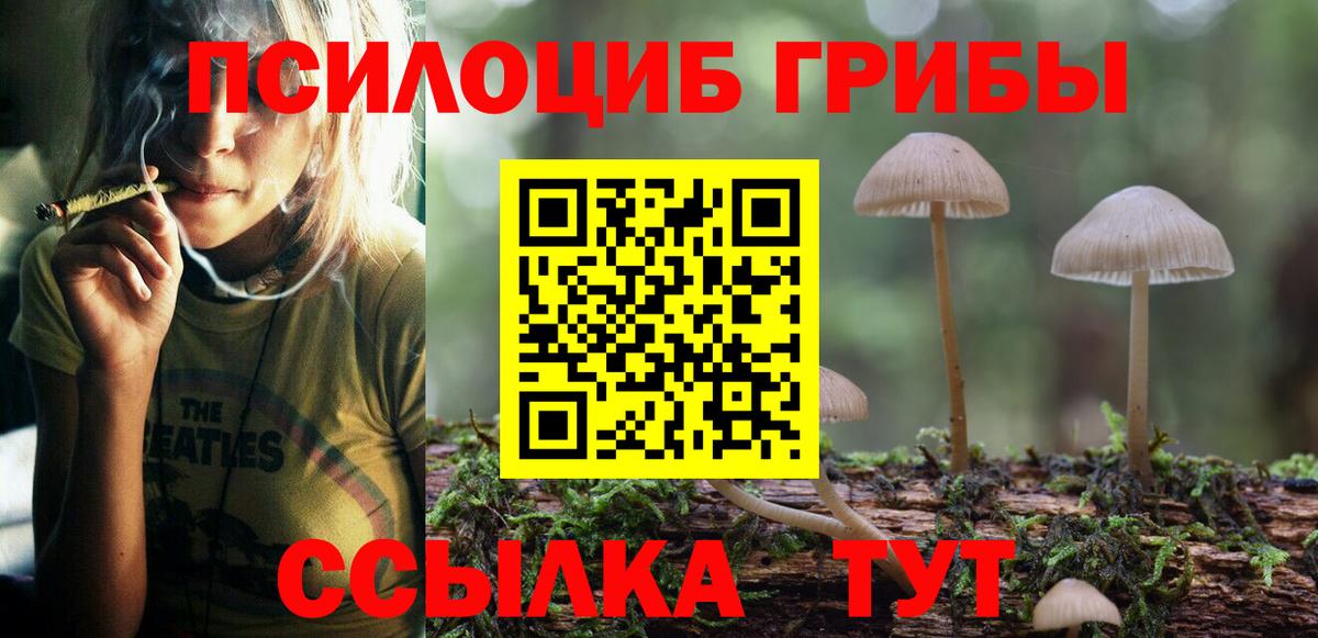 Галлюциногенные грибы MAGIC MUSHROOMS Ртищево