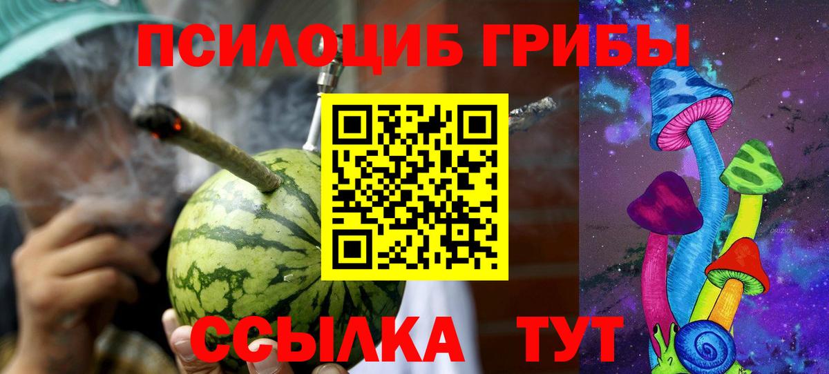 цены наркотик  Галлюциногенные грибы ЛСД  Вход с VPN  Псилоцибиновые грибы Psilocybe  Ртищево 